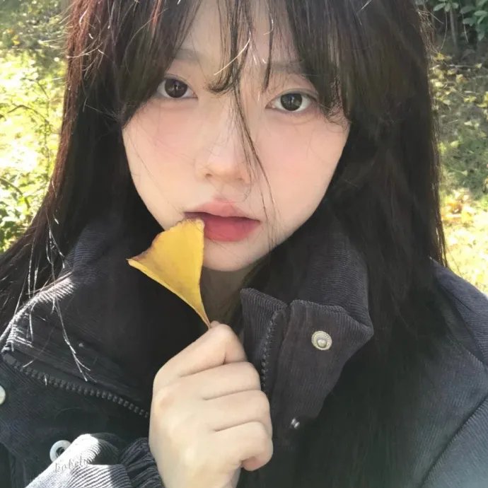 爱尔兰之愿